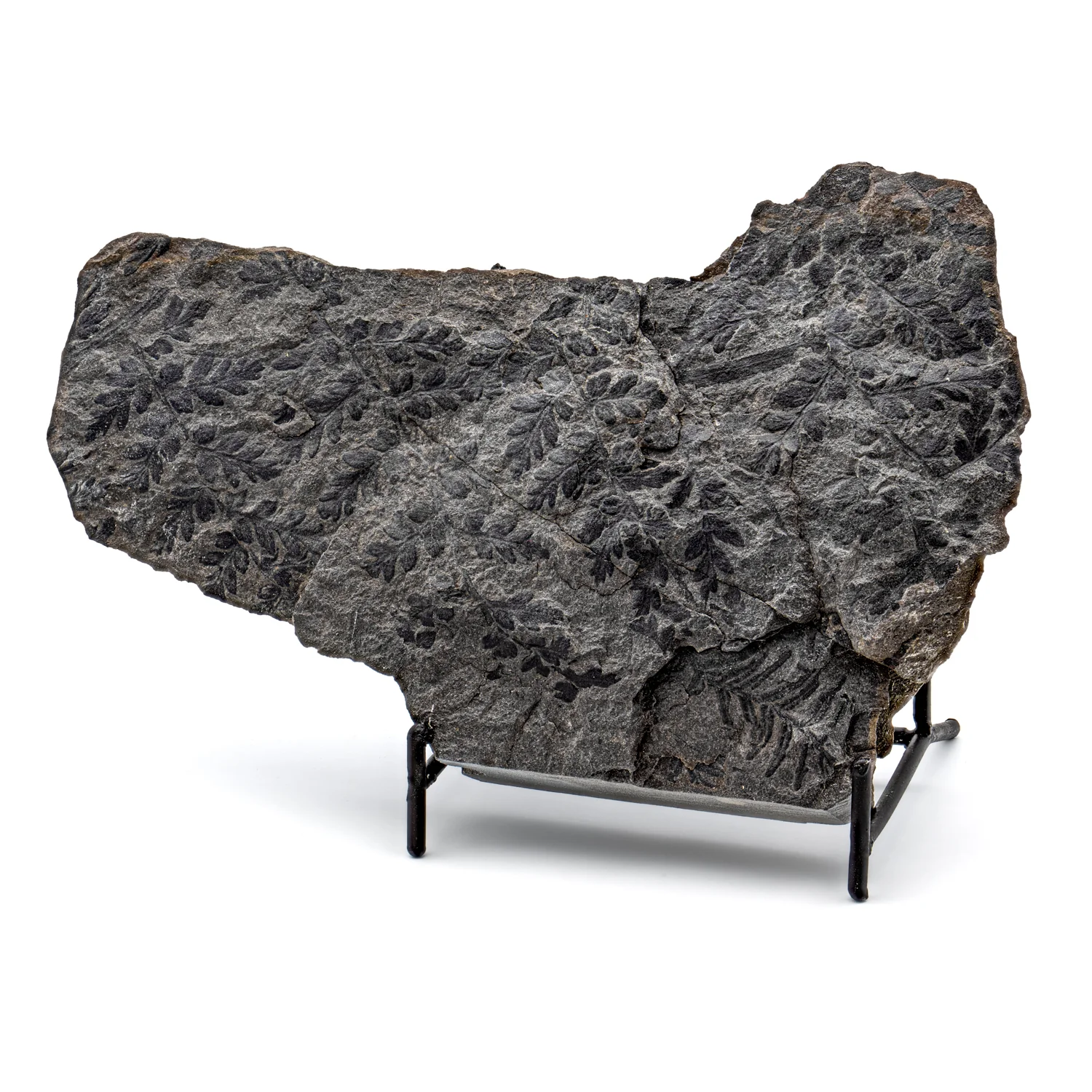 Showcase Sale - 10% Off